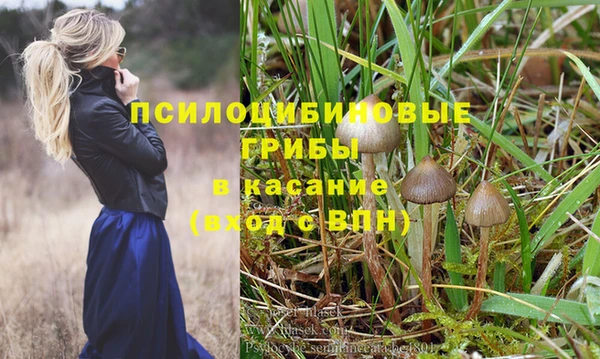 jwh Пролетарск