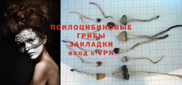 гашик Абаза