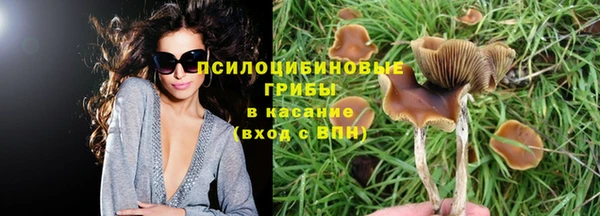 гашик Абаза