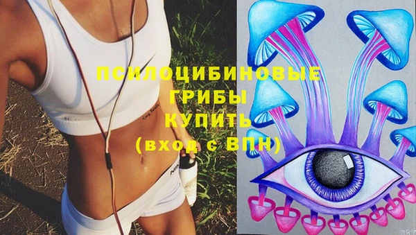 гашик Абаза