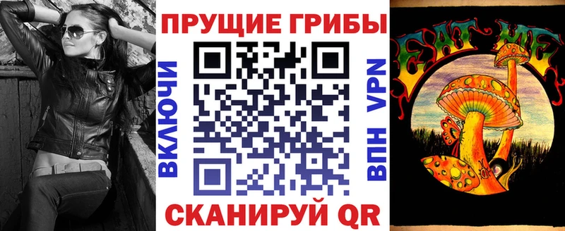 гидра ONION  darknet какой сайт  Галлюциногенные грибы Magic Shrooms  Кизляр 